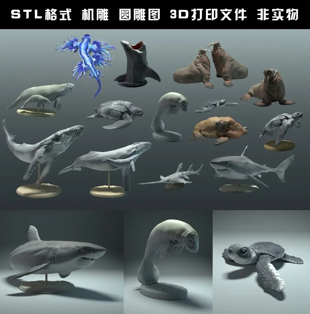 Hayvanlar, kutup ayısı, takin, - 3D Printing File Stl incelemesi ve fiyatı